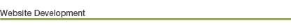 Website Development
