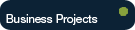 Derpon Consulting International, Business Projects